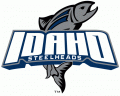 Idaho Steelheads 2006 07-2010 11 Alternate Logo decal sticker