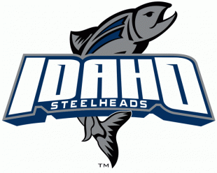 Idaho Steelheads 2006 07-2010 11 Alternate Logo Sticker Heat Transfer