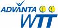 World TeamTennis 2008-2009 Primary Logo Sticker Heat Transfer