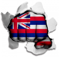 Fist Hawaii State Flag Logo Sticker Heat Transfer