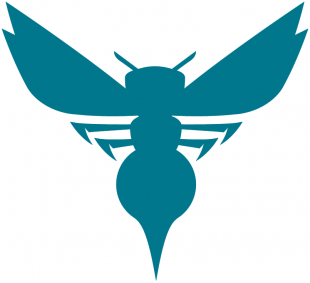 Charlotte Hornets 2014 15-Pres Alternate Logo 04 Sticker Heat Transfer