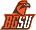 Bowling Green Falcons 2006-2011 Alternate Logo 06 Sticker Heat Transfer