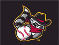 Quad Cities River Bandits 2008-2013 Cap Logo 3 decal sticker