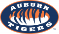 Auburn Tigers 1998-Pres Alternate Logo 04 Sticker Heat Transfer