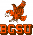 Bowling Green Falcons 1966-1979 Primary Logo Sticker Heat Transfer