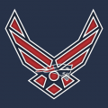Airforce New England Patriots Logo Sticker Heat Transfer