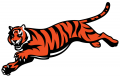 Cincinnati Bengals 1997-Pres Alternate Logo decal sticker