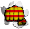 Fist Catalonia Flag Logo Sticker Heat Transfer