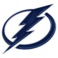 Tampa Bay Lightning Crystal Logo decal sticker