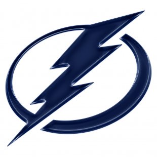 Tampa Bay Lightning Crystal Logo Sticker Heat Transfer
