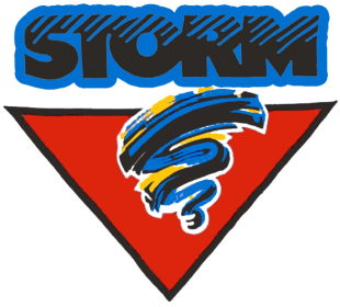 Guelph Storm 1991 92-1996 97 Primary Logo decal sticker