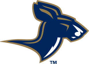 Akron Zips 2002-2007 Alternate Logo 02 Sticker Heat Transfer