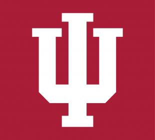 Indiana Hoosiers 2002-Pres Alternate Logo 01 decal sticker