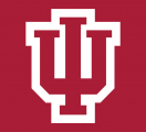 Indiana Hoosiers 2002-Pres Alternate Logo 03 decal sticker