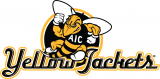 AIC Yellow Jackets 2009-Pres Alternate Logo 05 decal sticker