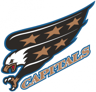 Washington Capitals 1997 98-2006 07 Wordmark Logo decal sticker