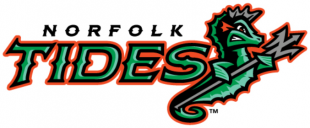 Norfolk Tides 2016-Pres Primary Logo Sticker Heat Transfer