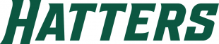 Stetson Hatters 2018-Pres Wordmark Logo 02 Sticker Heat Transfer