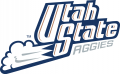 Utah State Aggies 1996-2011 Wordmark Logo 01 decal sticker