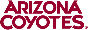 Arizona Coyotes 2015 16-Pres Wordmark Logo 02 decal sticker