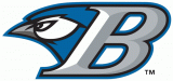 Bluefield Blue Jays 2011 Primary Logo Sticker Heat Transfer