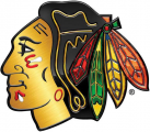 Chicago Blackhawks 2013 14 Special Event Logo decal sticker