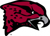 Maryland-Eastern Shore Hawks 2007-Pres Primary Logo decal sticker