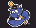 Louisville Bats 2002-2015 Cap Logo Sticker Heat Transfer