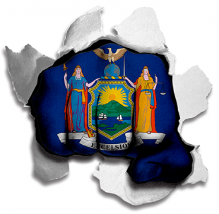 Fist New York State Flag Logo decal sticker