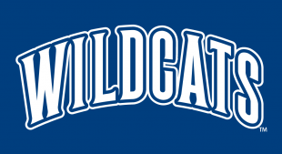 Villanova Wildcats 1996-Pres Wordmark Logo 01 decal sticker