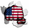 Fist United States Of America Flag Logo Sticker Heat Transfer
