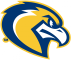 Marquette Golden Eagles 2005-Pres Alternate Logo 01 decal sticker