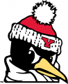 Youngstown State Penguins 1993-Pres Alternate Logo 06 decal sticker