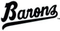 Birmingham Barons 1993-2007 Wordmark Logo Sticker Heat Transfer
