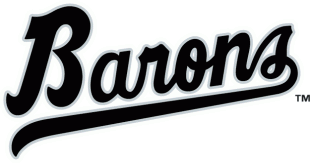 Birmingham Barons 1993-2007 Wordmark Logo decal sticker