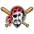 Pittsburgh Pirates Crystal Logo Sticker Heat Transfer