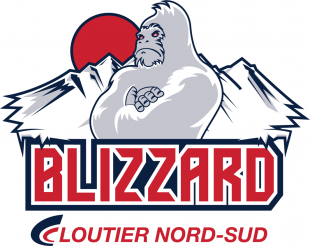 Trois-Rivieres Blizzard 2014 15-Pres Primary Logo Sticker Heat Transfer