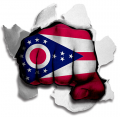 Fist Ohio State Flag Logo Sticker Heat Transfer