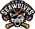 Erie SeaWolves 2013-Pres Primary Logo decal sticker