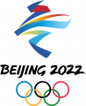 2022 Beijing Olympics 2022 Primary Logo decal sticker