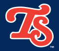 Tennessee Smokies 2003-2006 Cap Logo 2 Sticker Heat Transfer