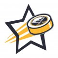 Buffalo Sabres Hockey Goal Star logo Sticker Heat Transfer