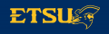 ETSU Buccaneers 2014-Pres Alternate Logo 10 decal sticker