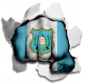 Fist Guatemala Flag Logo decal sticker