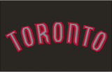 Toronto Raptors 2008-2015 Jersey Logo Sticker Heat Transfer