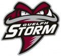 Guelph Storm 2018 19-Pres Alternate Logo Sticker Heat Transfer