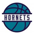 Basketball Charlotte Hornets Logo decal sticker