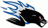 Saint John Sea Dogs 2005 06-Pres Primary Logo decal sticker