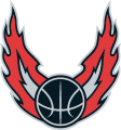 Portland Trail Blazers 2002-2005 Alternate Logo decal sticker