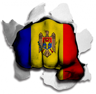 Fist Moldova Flag Logo Sticker Heat Transfer